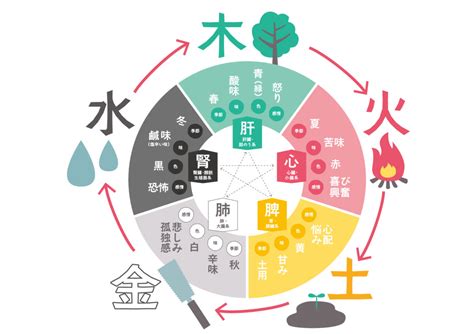 水 金 五行|五行思想